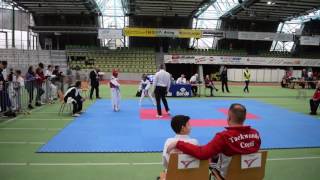 31. Internationaler Park Pokal 2016 LK1 C bis 32 Kg Viertelfinale