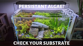Persistant Algae? Check Your Substrate!