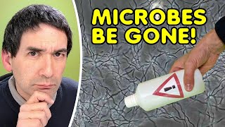 Disinfectant vs Bacteria: Watch the Live Microscope Showdown