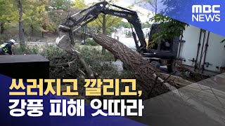 시속 130km 넘는 강풍에 피해 속출‥ 1명 사망 (2024.10.23/뉴스데스크/MBC강원영동)