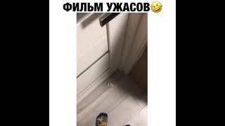 положите кусок колбасы у  двери