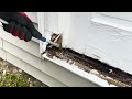How To Replace A Rotten Window Sill step by step