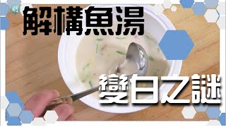 點樣煲出奶白魚湯？科學解構！留意幾點 煲奶白魚湯零失敗 │ 《飲食科學》