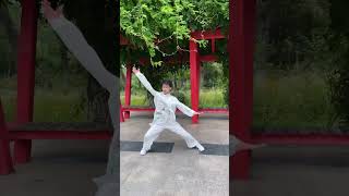 Harmonize yin and yang, coordinate the body#taichi #kungfu #taijiquan #wushu #shorts #sports