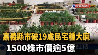 嘉義縣市破19處民宅種大麻 1500株市價逾5億－民視新聞