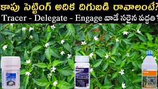 మిరపలో #Delegate#Tracer#Engage మందులు ఎప్పుడు స్ప్రే చేయాలి వీటిలో బెస్ట్ కాంబినేషన్స్ పూర్తి సమాచార