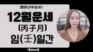 2024년(甲辰年)갑진년 壬일간12월(丙子月)운세 #임수일간12월운세#샐리사주#12월운세#임일간#임수일간#임수#壬水#임수12월운세#병자월#병자#丙子月#연애운#건강운#일간별운세#壬