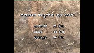 Cultivation of CO-3 fodder crop I ಸಿಒ -3 ಮೇವಿನ ಬೆಳೆ ಕೃಷಿ