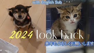 【ゆず吉】2024年振り返り Looking back on 2024