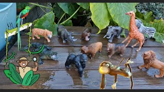 Zoo Animal Toys for kids. Jungle animals getting washed