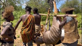 It’s a Giant Kudu Feast For These Hungry Bushmen// a Hunt Like No Other