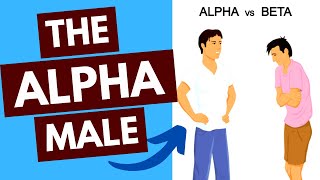 Alpha Male Strategies vs Beta Male (EVERYTHING You Need in 1 Video) Start Here!
