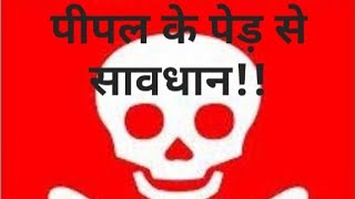 सावधान!! पीपल के पेड़ के पास मत जाना #shorts #trending #viral