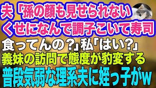 【スカッとする話】義実家で突然夫「孫の顔も見せられないくせになんで調子こいて寿司食ってんの？」私「はっ？？」→義妹の訪問で態度が豹変する普段気弱な理系夫に、姪っ子が一言…ｗ