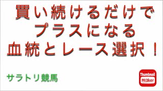 【競馬】プラス収支にするにはレース選択をきちんと選ぶ事が必要！【血統】