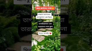 #waz #viral ক্ষমা প্রার্থনার দোয়া।। যতই পড়িবে ততই নেকি পাবেন।।