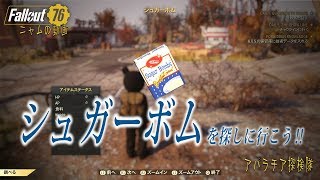 【FO76】シュガーボムを探しに行こう‼（アパラチア探検隊＃１）