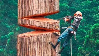 Workers Doing Their Job Perfectly  At Another Level -  Most Satisfying Videos In an Amazing way