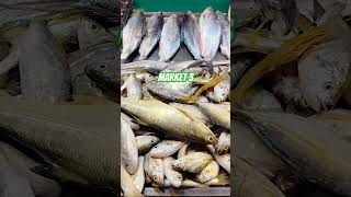 Samut #shorts #fish #business #seafood