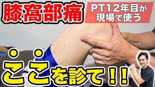 【膝窩部痛のリハビリ】超シンプルな評価方法について徹底解説！(理学療法士)