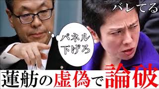 【国会の面白中継】世耕弘成大臣が蓮舫の嘘を暴き「パネルを下げろ」と完全論破w