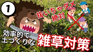 【根絶は無理】草に困らないネギ農家がしている生やす前に減らすワザ【ネギの雑草対策講習会Part1】