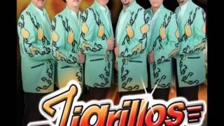 tigrillos - la suavecita