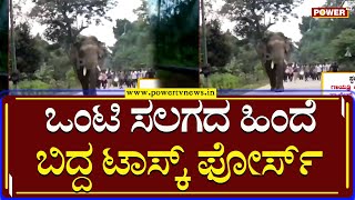 Elephant : ಒಂಟಿ ಸಲಗದ ಹಿಂದೆ ಬಿದ್ದ ಟಾಸ್ಕ್ ಫೋರ್ಸ್ | Hassan | Power TV News