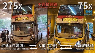 【特快路線取替】KMB 275X / 75X (大埔 (富善) Tai Po (Fu Shin) ⇄ 紅鸞道 Hung Luen Rd / 九龍城碼頭 Kowloon City Ferry)