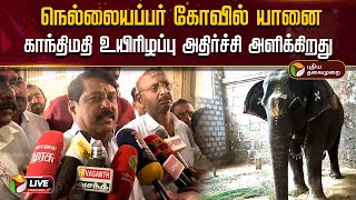 🔴LIVE: நெல்லையப்பர் கோவில் யானை காந்திமதி உயிரிழப்பு அதிர்ச்சி அளிக்கிறது - நயினார் நாகேந்திரன்