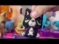 huge littlest pet shop lps jet playset lps susie