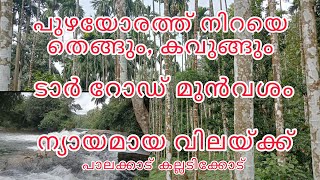 പുഴയോരത്ത് 2ഏക്കർ, തെങ്ങ്, കവുങ്ങ്. ജാതി, മുൻവശം ടാർ റോഡ്... കല്ലടിക്കോട്