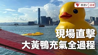 LIVE｜大黃鴨再返嚟！ 維修完成重回維港展出【HongKongV LIVE】