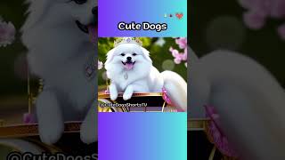 Cute Dogs 24 #cute #Dogs #shorts #short #Dog  #CuteDogs #CuteDog #funny #Funnyvideo