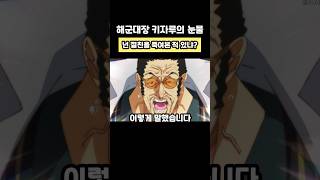 원피스 해군대장 키자루가 아키아누에게 욕한 이유