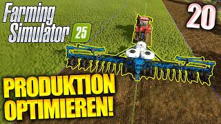 Zuckerrüben auf meinem GRÖßTEN FELD anbauen! | Farming Simulator 25