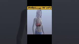 hiccups happening reason | हिचकी आने की वजह #bodyinsight #health