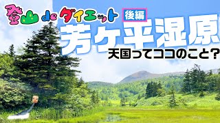 【登山deダイエット】#03 横手山〜芳ヶ平湿原（長野県-群馬県）豚ハイキング（後編）