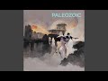 Paleozoic