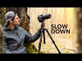 Macro Medicine: The Healing Power of Photography
