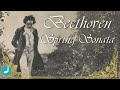 Beethoven - Spring Sonata (Violin Sonata No. 5)