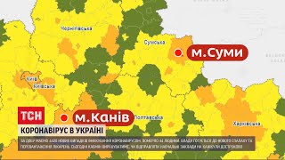 Коронавірус в Україні: за останню добу виявили 4420 нових випадків