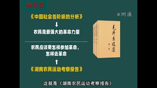 毛泽东选集《毛选》第1卷第2篇《湖南农民运动考察报告》深度解析：学习教员如何做调查研究