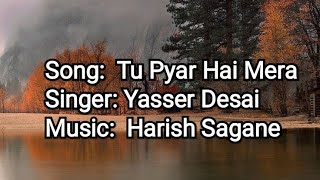 Tu Pyar Hai Mera / Yasser Desai / Harish Sagane / Priyal Gor / Mohit Sehgal