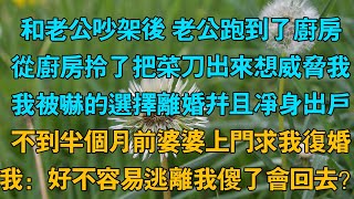 和老公吵架後 老公跑到了廚房，從廚房拎了把菜刀出來想威脅我，我被嚇的選擇離婚並且淨身出戶，不到半個月前婆婆上門求我重婚，我：好不容易逃離我傻了會回去？