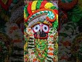 ⭕❗⭕🙏🙏 jagannath odia puri sortvideo music rupapintu song sort bhakti sound lo rajudascomedy