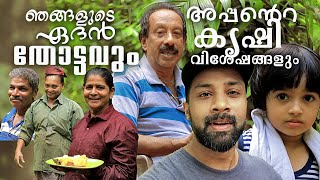 ഞങ്ങളുടെ പറമ്പിലെ വിശേഷങ്ങളും അപ്പൻ്റെ കൃഷി രീതികളും   | Our Farmland in Kerala