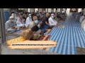 Walk-A-Tif | A joyful Eid al-Fitr in Phuket