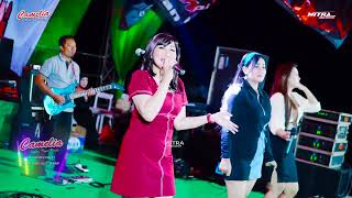 FULL ALBUM CAMELIA PELAN TAPI PASTI HAPPY PARTY LEANG LEONG LIVE SEKALA CAFE BANDENGAN JEPARA