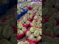 泰国榴莲仓库 durian